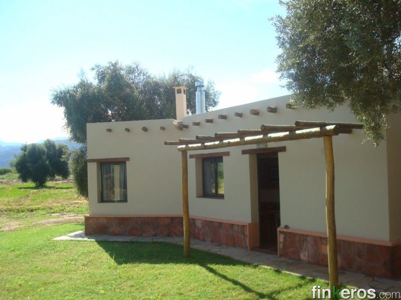 El Solar de los Olivos - Finca en TINOGASTA, Catamarca
